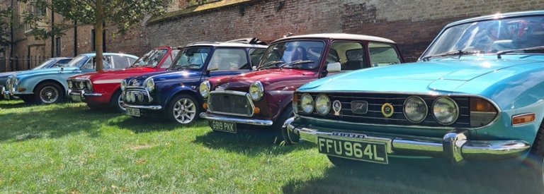 Stag-Minis-Narrow.jpg:oar:1:311