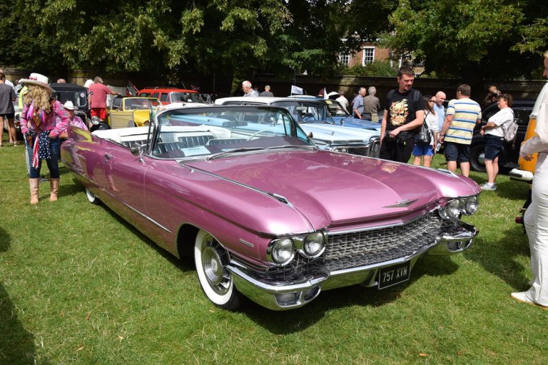 Caddy.jpg:oar:1:703
