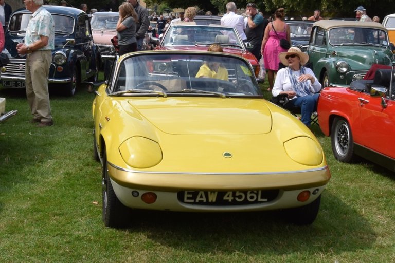 Lotus-Newbie.JPG